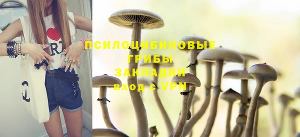 дмт Новодвинск
