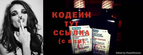 молекула духа Бежецк