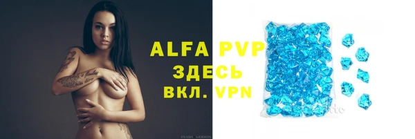 спайс Нея