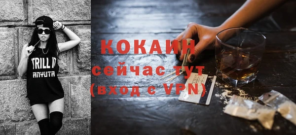 дмт Новодвинск