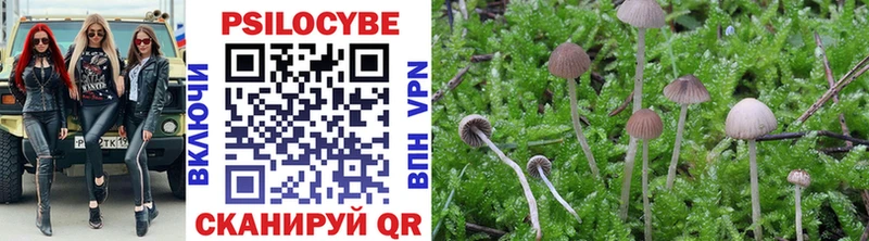 Псилоцибиновые грибы MAGIC MUSHROOMS наркошоп Теберда